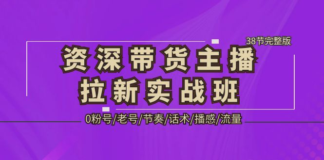 【副业项目5333期】资深·带货主播拉新实战班，0粉号/老号/节奏/话术/播感/流量-38节完整版-行行副业