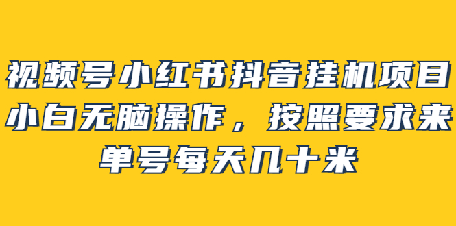 【副业项目2904期】视频号小红书抖音挂机项目，小白无脑操作，按照要求来，单号每天几十米-行行副业