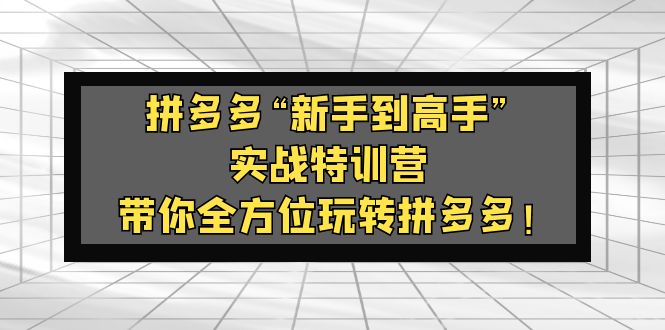 【副业项目5317期】拼多多“新手到高手”实战特训营：带你全方位玩转拼多多-行行副业