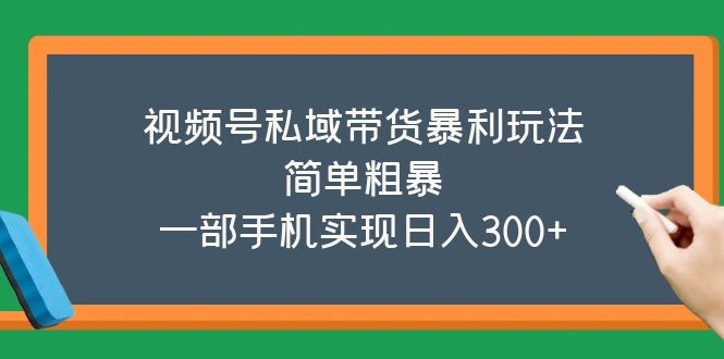 【副业项目5627期】视频号私域带货暴利玩法，简单粗暴，一部手机实现日入300+-行行副业