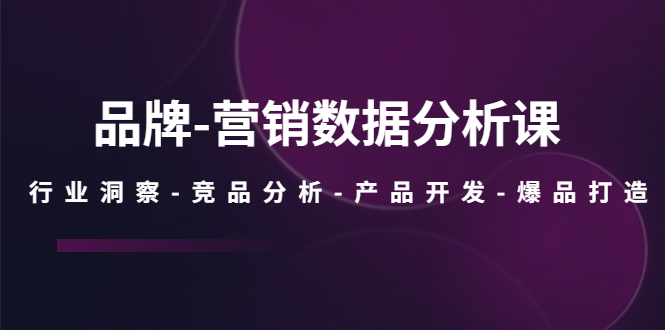 【副业项目5644期】品牌-营销数据分析课，行业洞察-竞品分析-产品开发-爆品打造-行行副业