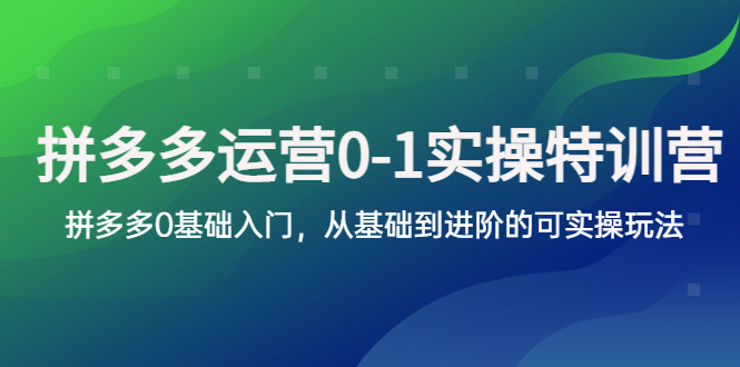 【副业项目5801期】拼多多-运营0-1实操训练营，拼多多0基础入门，从基础到进阶的可实操玩法-行行副业