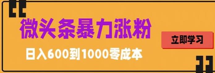 【副业项目5970期】微头条暴力涨粉技巧搬运文案就能涨几万粉丝，简单0成本，日赚600-行行副业