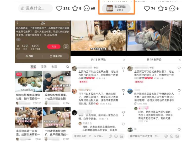 【副业项目5898期】小红书蓝海类赛道：小动物打赏与购买变现副业项目，一条龙玩法分享给你！-行行副业