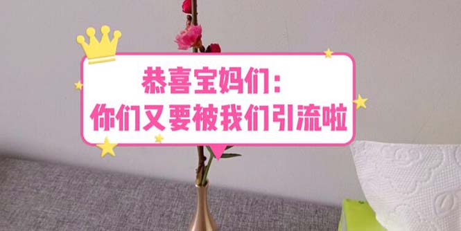 【副业项目5918期】恭喜宝妈们：你们又要被我们引流了（教程+222g资料）-行行副业