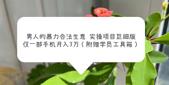 【副业项目5982期】男人的暴力合法生意实操项目巨细版：仅一部手机月入3w（附赠学员工具箱）-行行副业