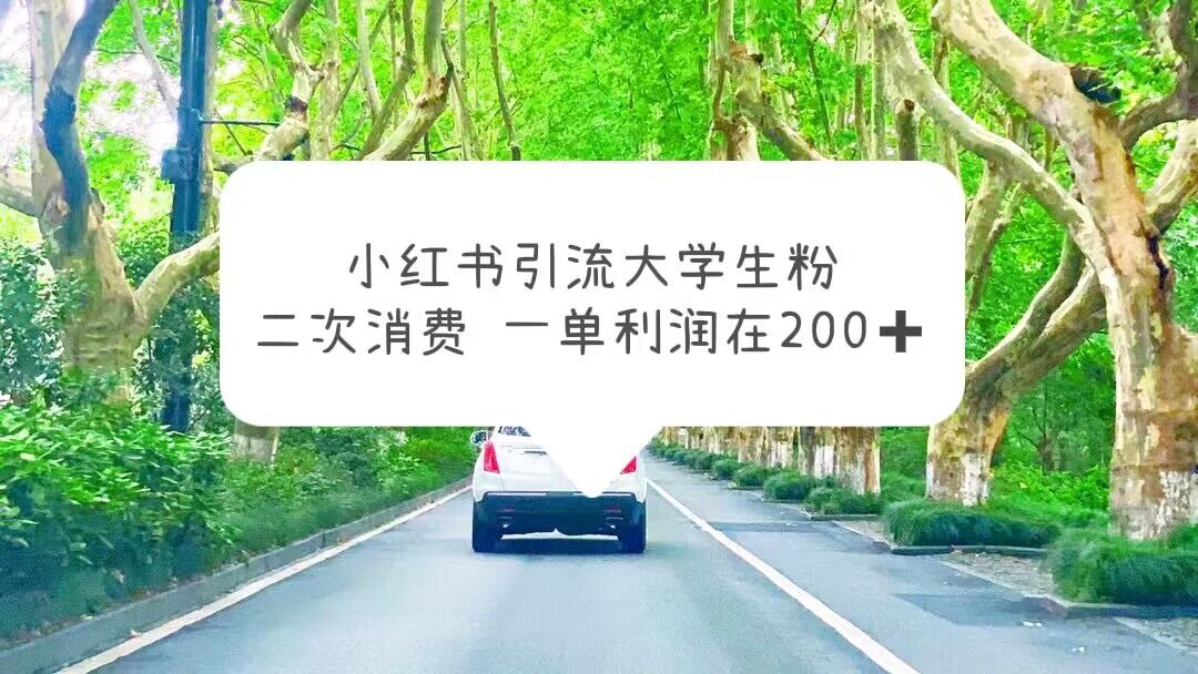 【副业项目5937期】小红书引流大学生粉，变现项目，一单利润在200+（教程+资源）-行行副业