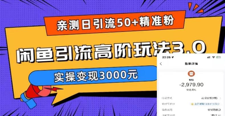 【副业项目5795期】实测日引50+精准粉，闲鱼引流高阶玩法3.0，实操变现3000元-行行副业