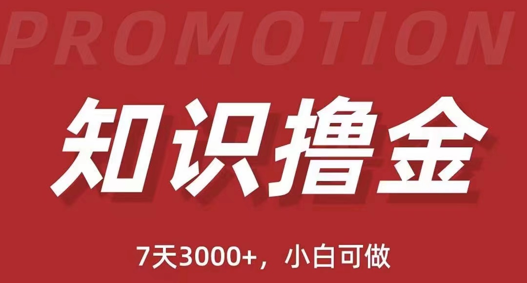 【副业项目5702期】抖音知识撸金项目：简单粗暴日入1000+执行力强当天见收益(教程+资料)-行行副业
