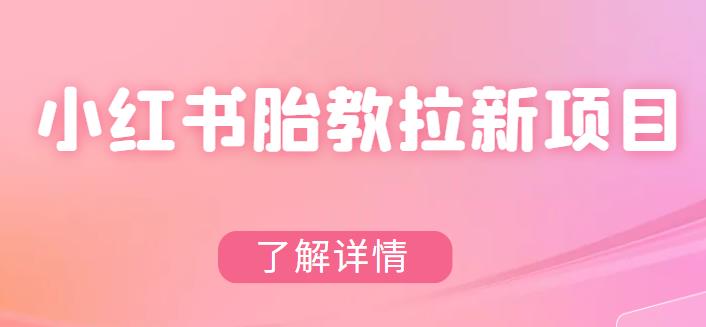 【副业项目6099期】小红书胎教网盘拉新项目，可在私域变现两次（作品制作教程+素材）-行行副业