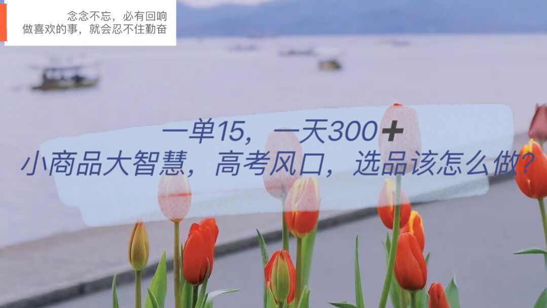 【副业项目6119期】一单15，一天300+，小商品大智慧，高考风口，选品该怎么布局-行行副业