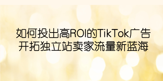 【副业项目6124期】如何投出高ROI·TikTok广告，开拓独立站卖家流量新蓝海-行行副业
