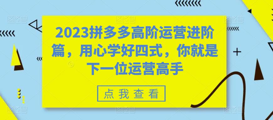 【副业项目6241期】2023拼多多高阶运营进阶篇，用心学好四式，你就是下一位运营高手-行行副业