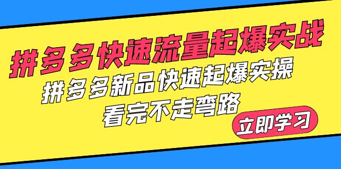 【副业项目6310期】拼多多-快速流量起爆实战，拼多多新品快速起爆实操，看完不走弯路-行行副业