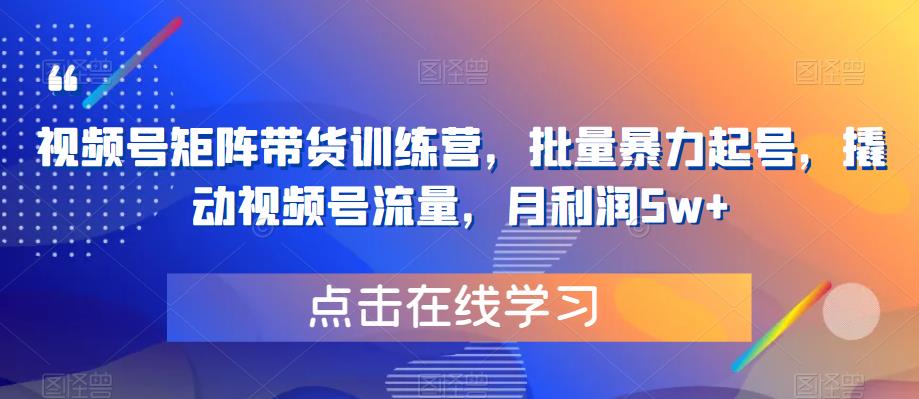 【副业项目6254期】视频号矩阵带货训练营，批量暴力起号，撬动视频号流量，月利润5w+-行行副业