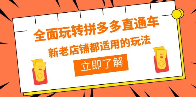 【副业项目6359期】全面玩转拼多多直通车，新老店铺都适用的玩法（12节精华课）-行行副业