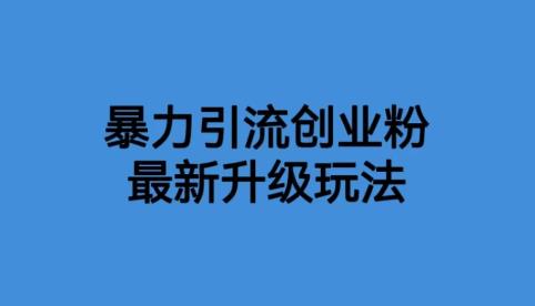 【副业项目6372期】价值1980一千个野路子暴力引流最新升级玩法【揭秘】-行行副业