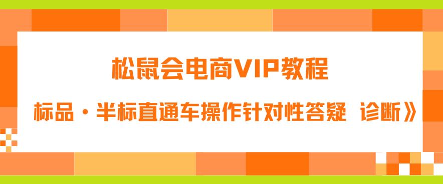 【副业项目6373期】松鼠会电商VIP教程：松鼠《付费推广标品·半标直通车操作针对性答疑&诊断》-行行副业