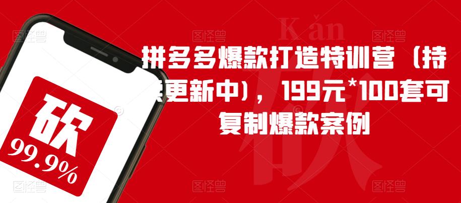 【副业项目6391期】拼多多爆款打造特训营（持续更新中)，199元*100套可复制爆款案例-行行副业
