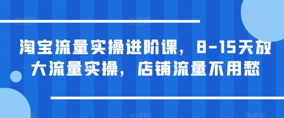 【副业项目6415期】淘宝流量实操进阶课，8-15天放大流量实操，店铺流量不用愁-行行副业