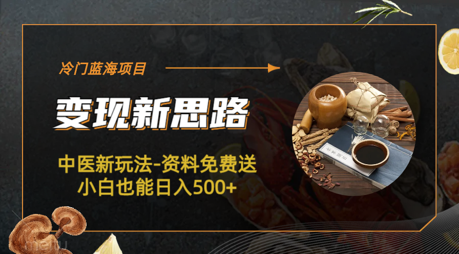 【副业项目6563期】冷门蓝海项目-中医新玩法-资料免费送小白也能日入500+-行行副业