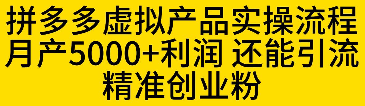 【副业项目6569期】拼多多虚拟产品实操流程，月产5000+利润，还能引流精准创业粉-行行副业