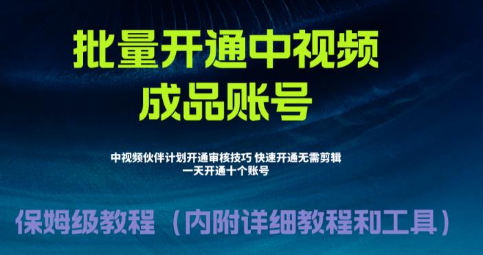 【副业项目6718期】外面收费1980暴力开通中视频计划教程，附 快速通过中视频伙伴计划的办法-行行副业
