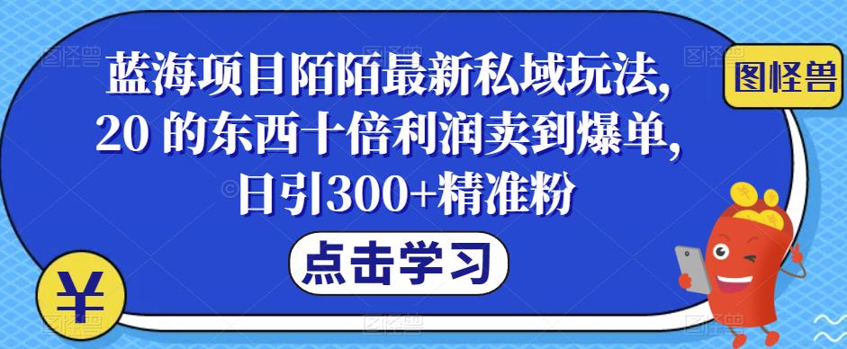【副业项目6699期】蓝海项目陌陌最新私域玩法，20 的东西十倍利润卖到爆单，日引300+精准粉【揭秘】-行行副业