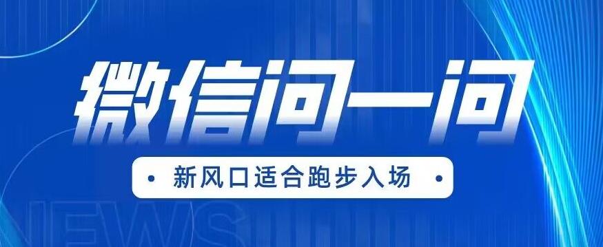 【副业项目6729期】全网首发微信问一问新风口变现项目（价值1999元）【揭秘】-行行副业