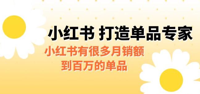 【副业项目6703期】某公众号付费文章《小红书打造单品专家》小红书有很多月销额到百万的单品-行行副业