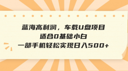 【副业项目6781期】蓝海高利润，车载U盘项目，适合0基础小白，一部手机轻松实现一天500+-行行副业