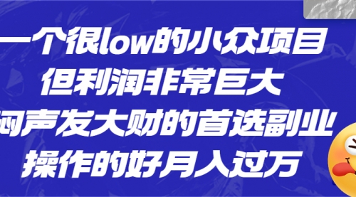 【副业项目6782期】一个很low的小众项目，但利润非常巨大，闷声发大财的首选副业，月入过万-行行副业