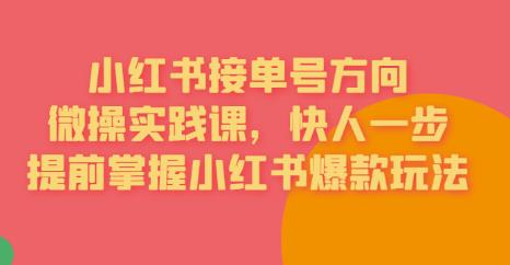 【副业项目6820期】接单号方向·小红书微操实践课，快人一步，提前掌握小红书爆款玩法-行行副业