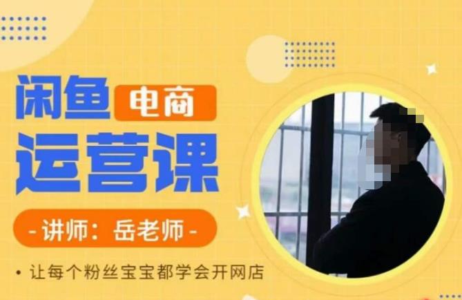 【副业项目6829期】岳老师·闲鱼电商运营课，让每个粉丝宝宝都学会开网店-行行副业
