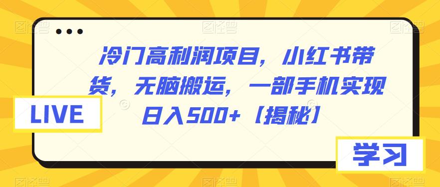【副业项目6875期】冷门高利润项目，小红书带货，无脑搬运，一部手机实现日入500+【揭秘】-行行副业