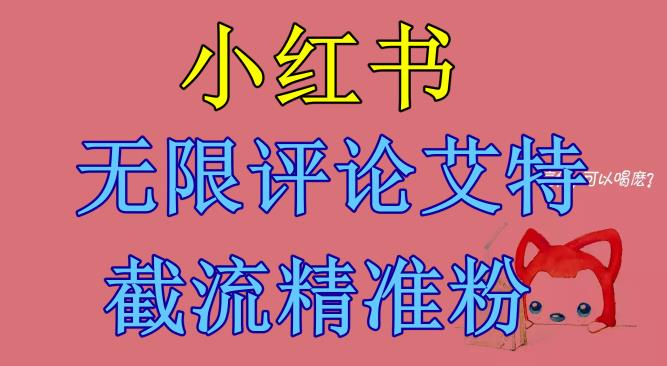 【副业项目6846期】小红书无限评论艾特截流精准粉（软件+教程）-行行副业