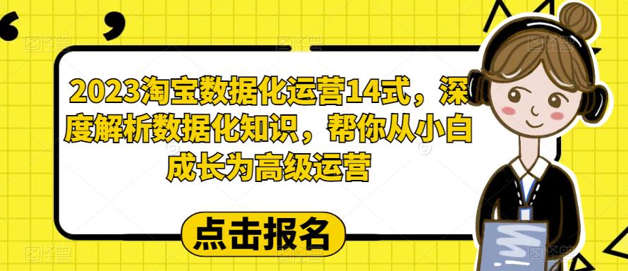 【副业项目6599期】2023淘宝数据化-运营 14式，深度解析数据化知识，帮你从小白成长为高级运营-行行副业