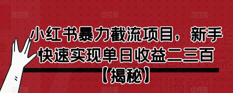 【副业项目6889期】小红书暴力截流项目，新手快速实现单日收益二三百【仅揭秘】-行行副业