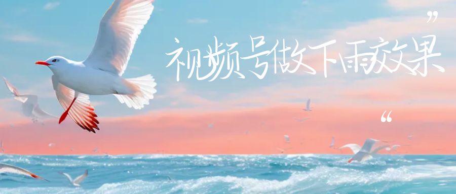 【副业项目6913期】视频号做下雨视频一个账号一周涨粉10W+年入100w-行行副业
