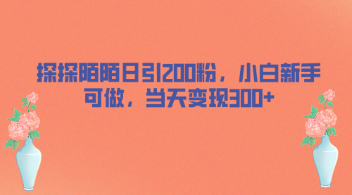 【副业项目7026期】探探陌陌日引200粉，小白新手可做，当天就能变现300+-行行副业