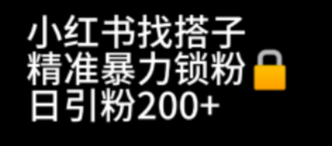 【副业项目7040期】小红书找搭子暴力精准锁粉+引流日引200+精准粉-行行副业