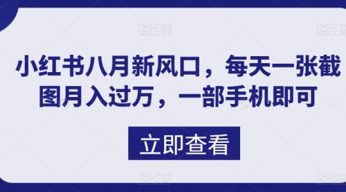 【副业项目7078期】八月新风口，小红书虚拟项目一天收入1000+-行行副业