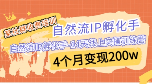 【副业项目7109期】自然流IP孵化手-14天线上实操训练营 4个月变现200w-行行副业