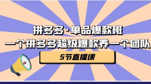 【副业项目第7171期】拼多多·单品爆款班，一个拼多多超级爆款养一个团队-行行副业