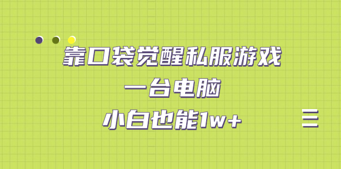【副业项目7248期】靠口袋觉醒私服游戏，一台电脑，小白也能1w+（教程+工具+资料）-行行副业