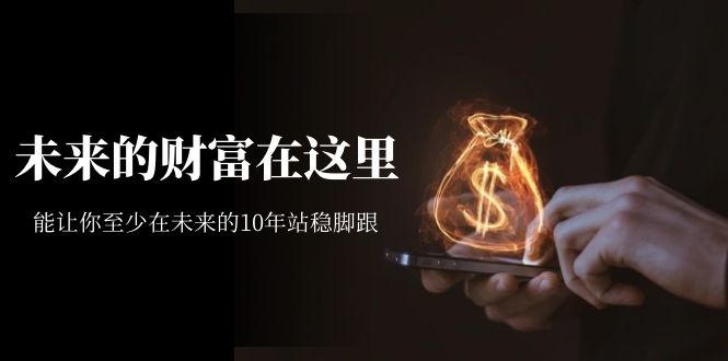 【副业项目7298期】某收费文章《未来的财富在这里》能让你至少在未来的10年站稳脚跟-行行副业
