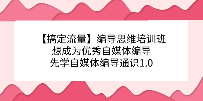 【副业项目7456期】编导思维培训班，想成为优秀自媒体编导先学自媒体编导通识1.0-行行副业