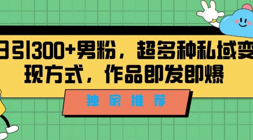 【副业项目7191期】独家推荐！日引300+男粉，超多种私域变现方式-行行副业