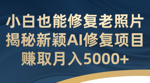 【副业项目7218期】小白也能修复老照片！揭秘新颖AI修复项目-行行副业