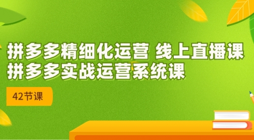 【副业项目7292期】2023年新课-拼多多精细化运营-行行副业